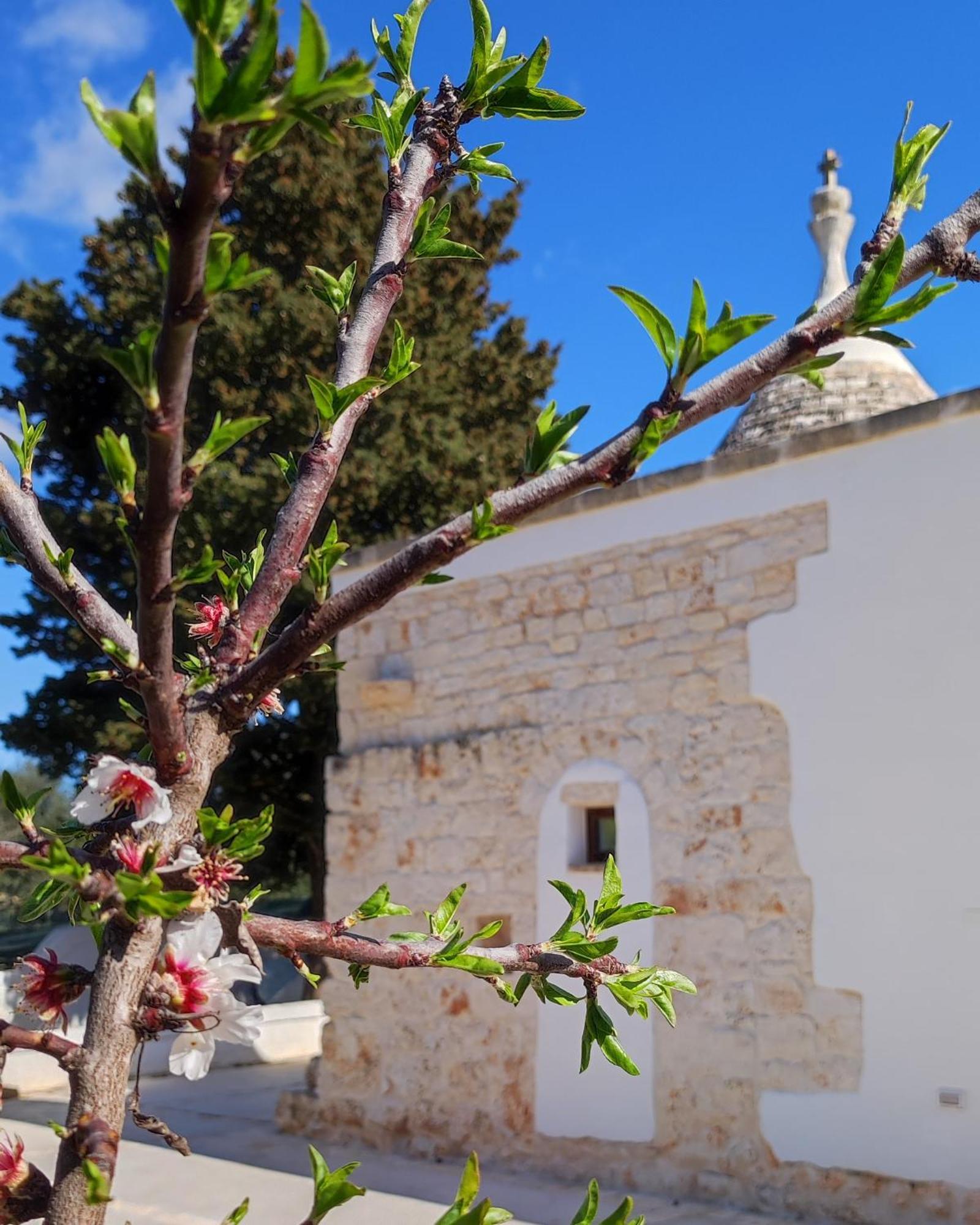 Trullo Zurlo Villa Ostuni Eksteriør bilde