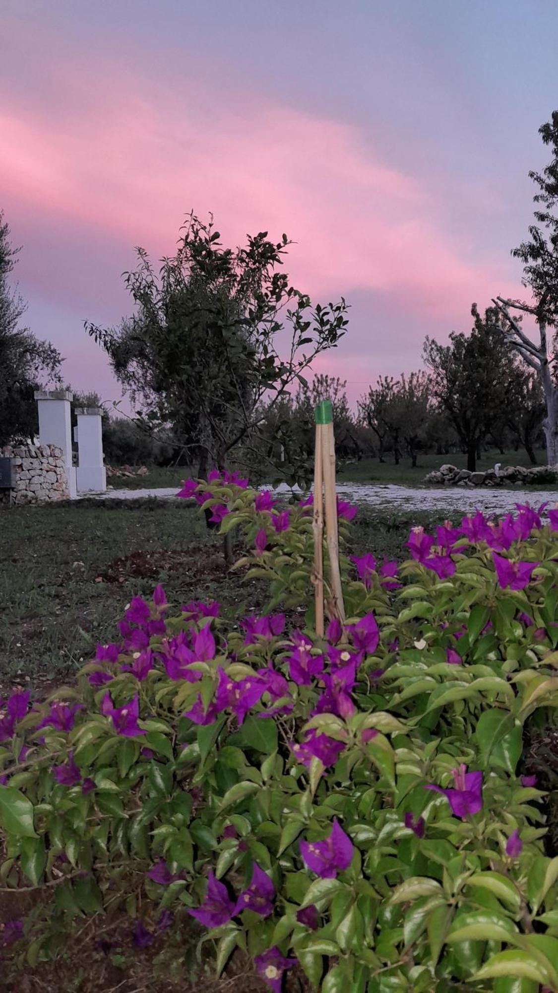 Trullo Zurlo Villa Ostuni Eksteriør bilde